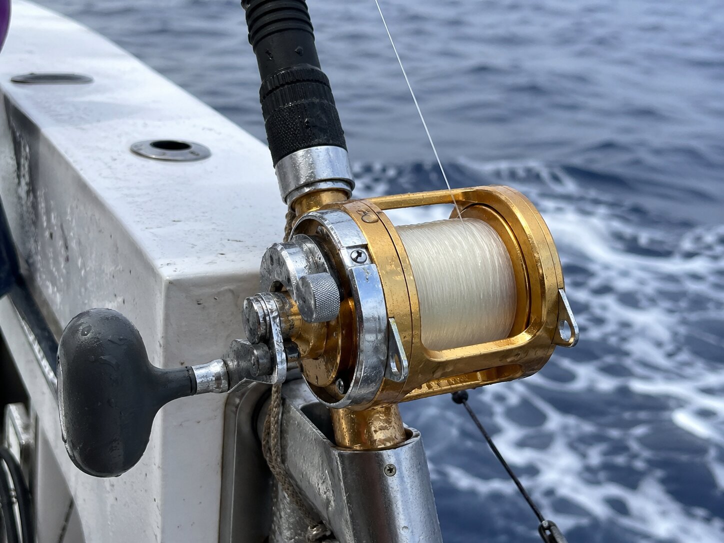 Shimano Tiagra 80 big game reels on Tuna Pro