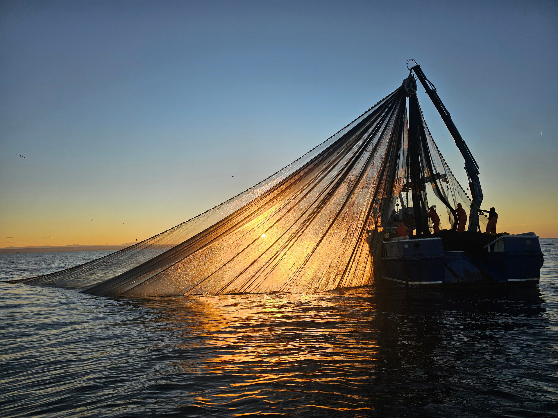 Sunrise Bluefin Tuna Tour